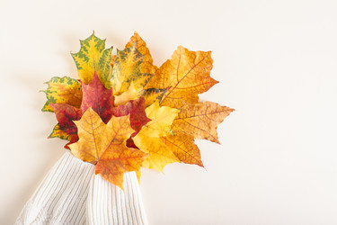 Similar image 21626115