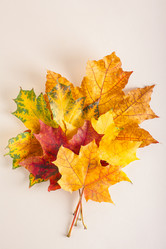 Similar image 21626116