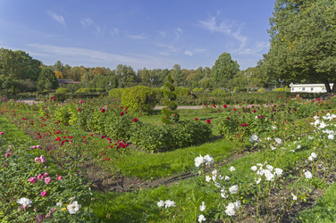 Similar image 21627804