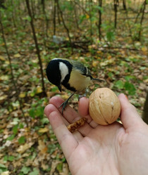 Similar image 21628033