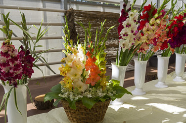 Similar image 21627812