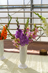 Similar image 21627813