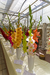 Similar image 21627814