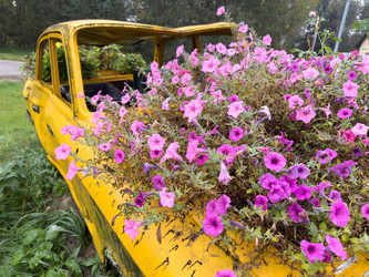 Similar image 21628034