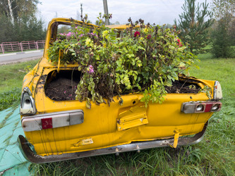 Similar image 21628036