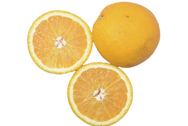 Similar image 21628062