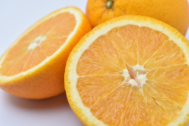 Similar image 21628069