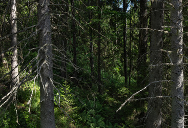 Similar image 21627861