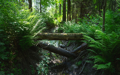 Similar image 21627864