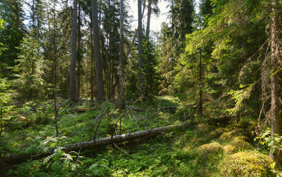 Similar image 21627865