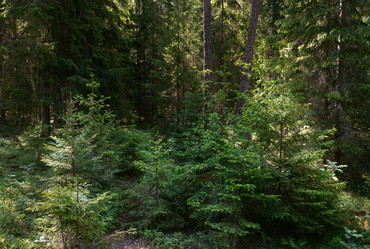 Similar image 21627867