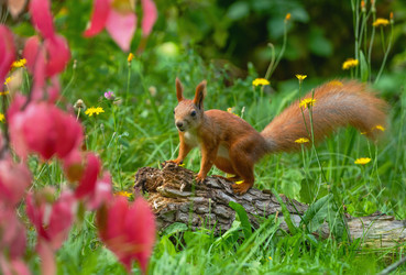 Similar image 21627876