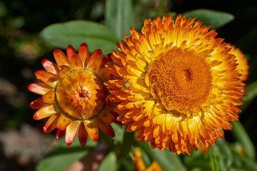 Similar image 21628072