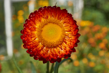 Similar image 21628073