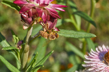 Similar image 21628076