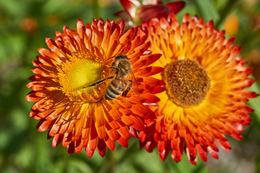 Similar image 21628077