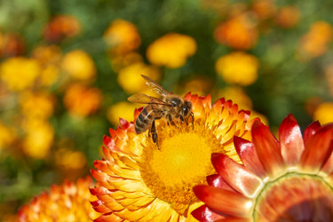 Similar image 21628078