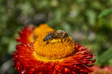 Similar image 21628080