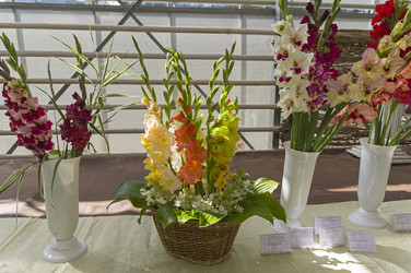 Similar image 21628095