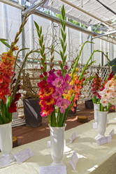 Similar image 21628096