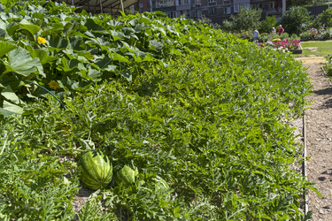 Similar image 21628097