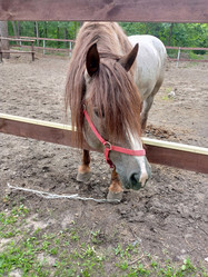 Similar image 21628147