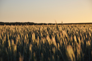 Similar image 21628534