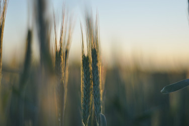 Similar image 21628551