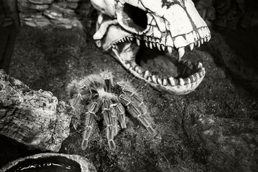 Similar image 21628563