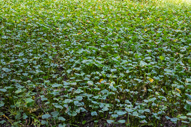 Similar image 21628565