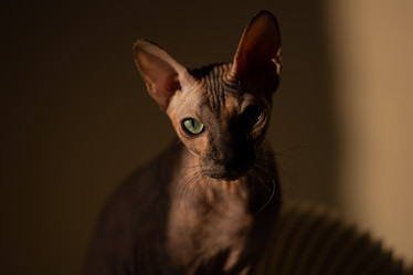 Similar image 21630181