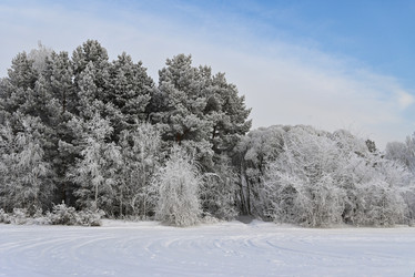 Similar image 21630197