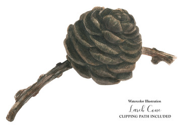 Similar image 21630239