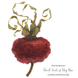 Similar image 21630249