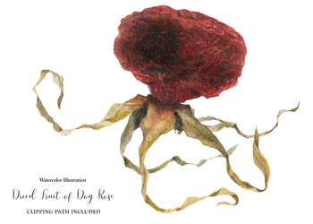 Similar image 21630250