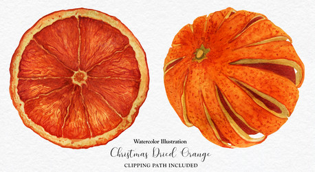 Similar image 21631542