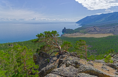 Similar image 21629985