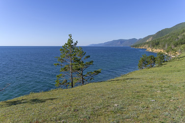 Similar image 21629989