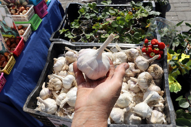 Similar image 21630546