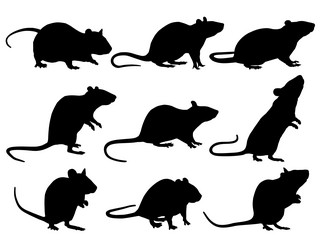 Similar image 21630547