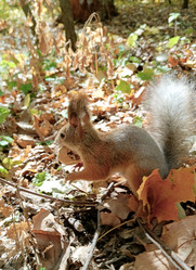 Similar image 21630550