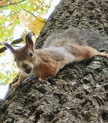 Similar image 21630551