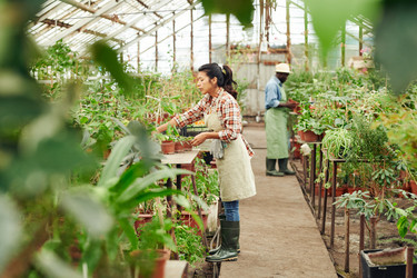 Similar image 21585749