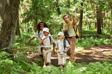 Similar image 21579690