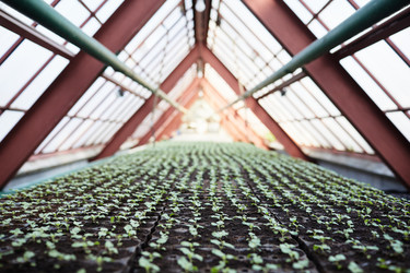 Similar image 21566290