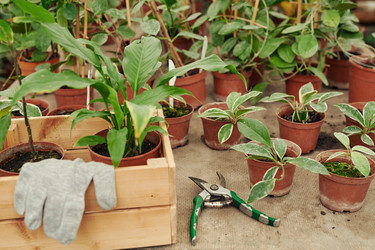 Similar image 21572570