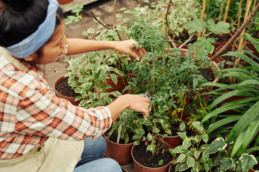 Similar image 21588588