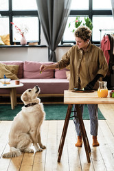 Similar image 21582957