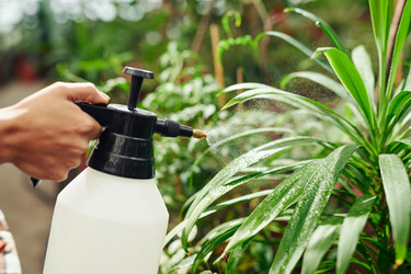 Similar image 21597741