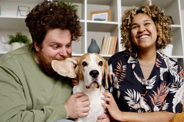 Similar image 21571487